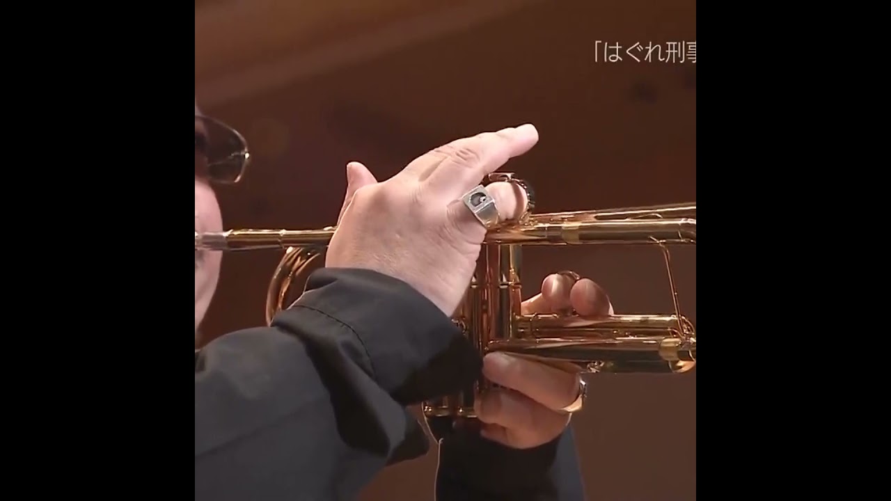 はぐれ刑事純情派 #trumpet #music