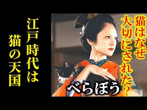 ｢べらぼう｣ 吉原の主人たちが猫を大切にする理由は…ドラマ感想