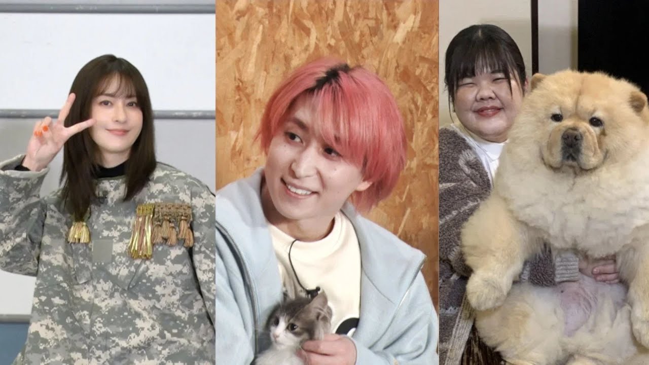 佐久間大介が猫をマッサージ、繊細なテクにスタジオから「マザー・佐久間」「これぞスーパーアイドル」