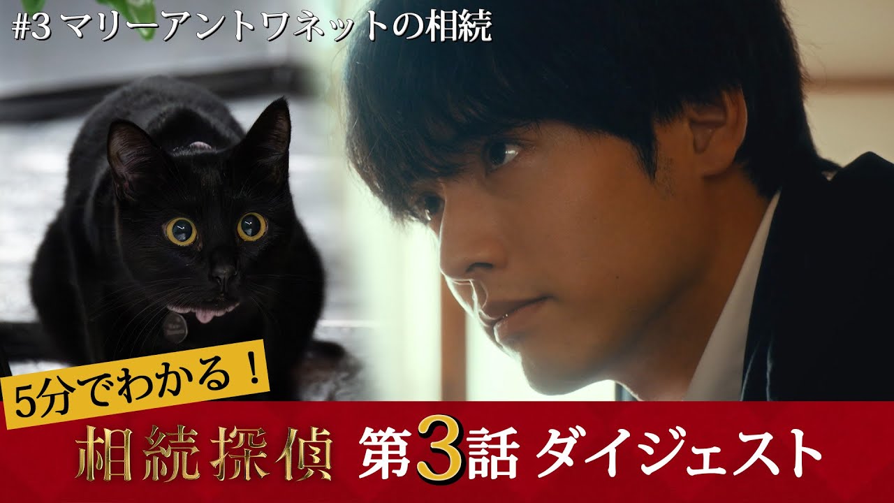 【相続探偵】第3話ダイジェスト「マリーアントワネットの相続」手掛かりは1匹の猫!?【日テレドラマ公式】