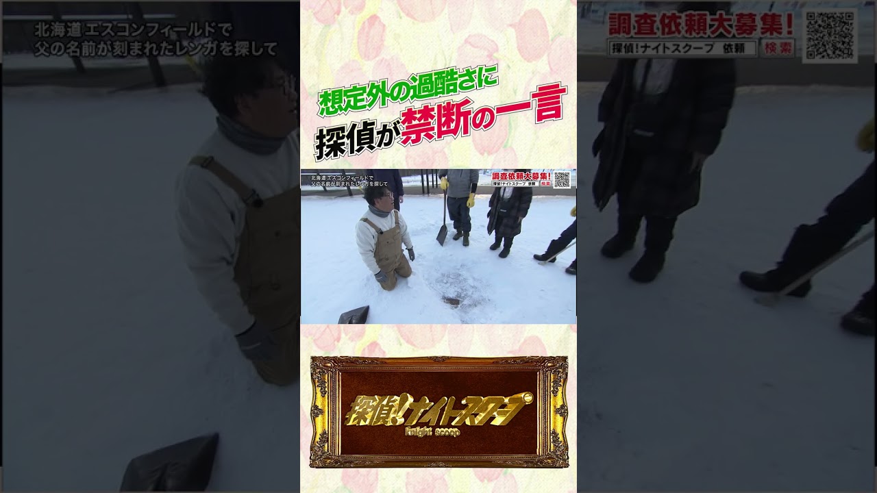 想定外の過酷さに探偵が禁断の一言 #探偵ナイトスクープ #ナイトinナイト #shorts