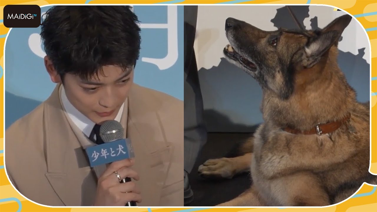 高橋文哉、犬の思いが分かる？「『SNSで応援して』と言ってます」とお茶目コメント　西野七瀬らと映画「少年と犬」完成披露試写会に登場