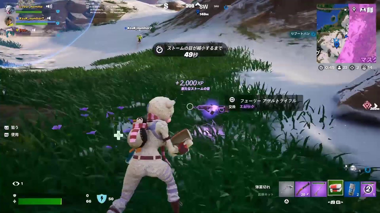 「井浦新さんに似ているね」と言われたいcoeurのFORTNITE配信🐻‍❄️