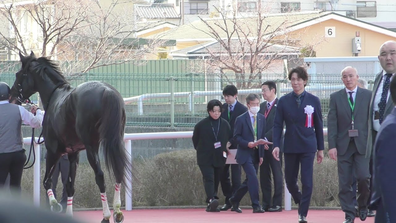 佐々木蔵之介とハヤテノフクノスケ！阪神競馬場リニューアルオープン記念の口取り。現地映像、阪神競馬場。