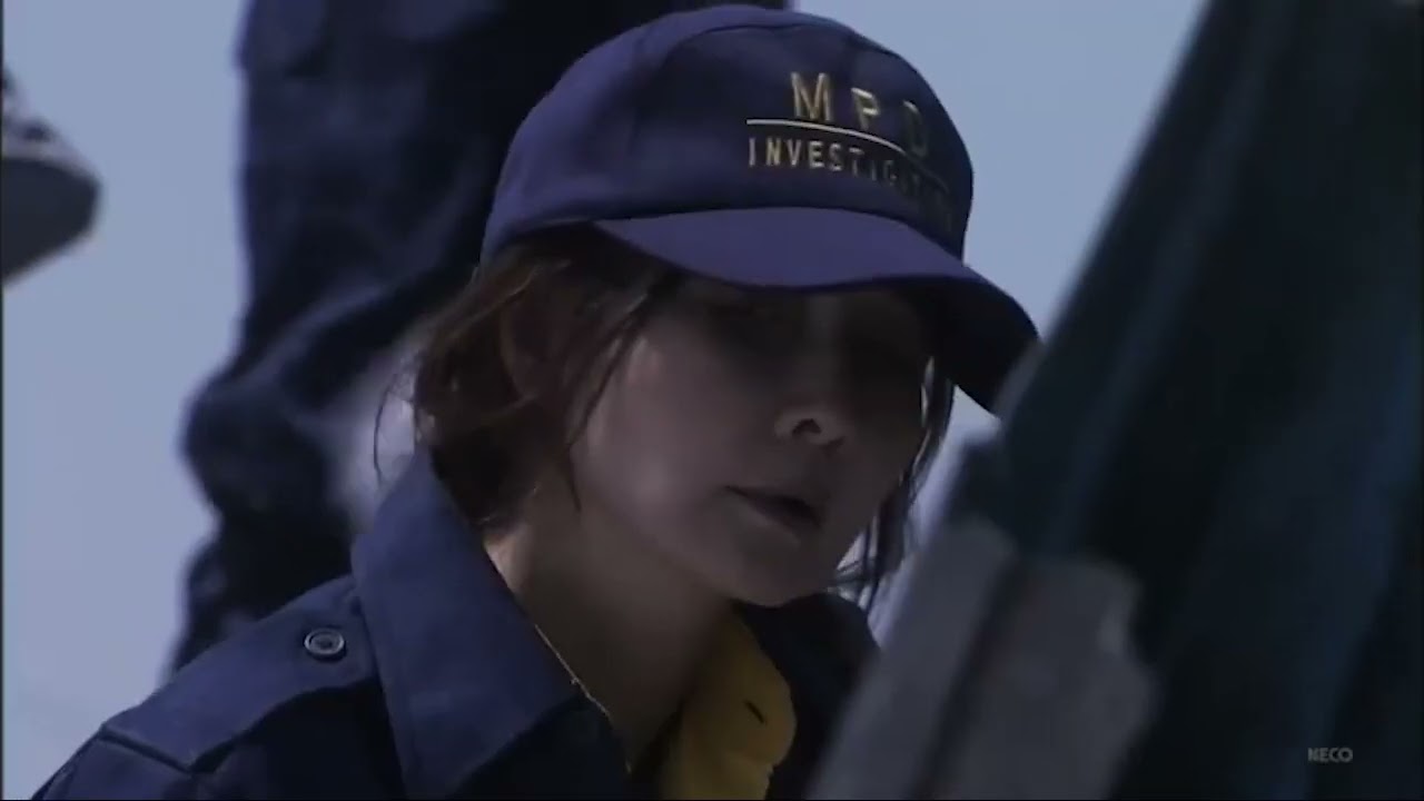 字 刑事鳴沢了１ 東京テロ史上最悪の２４時間坂口憲二主演 サスペンス