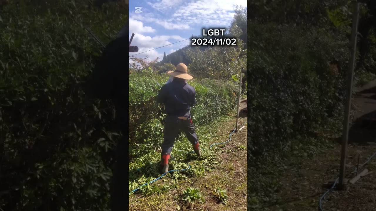 多様性を容認する未来 #高山慶.藤本優太.北島翔太.幸喜海.長谷川廉斗 #生田瑞貴.山本拓人.大角英嗣 #仙波大督.久保田純.宇田凱.大門由宗.海部裕介.松田等.馬場和央.住吉孝平.志勇佑.鵜川あさひ