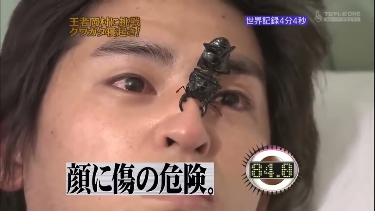 お笑い番組『めちゃ2イケてるッ!』🅷🅾🆃 2025 🌈🌈🌈 「王者岡村に挑戦 クワガタ寝起き!」🅵🆄🅻🅻 🆂🅷🅾🆆