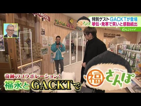 奇跡のコラボ！GACKTさんと琴似・発寒を福さんぽ【どさんこワイド179】 2025-03-10