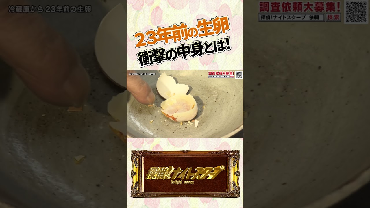 23年前の生卵 衝撃の中身とは！ #探偵ナイトスクープ #ナイトinナイト #shorts