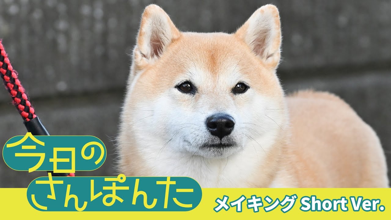 【公式】ドラマ『今日のさんぽんた』メイキング short ver.＜FOD＞