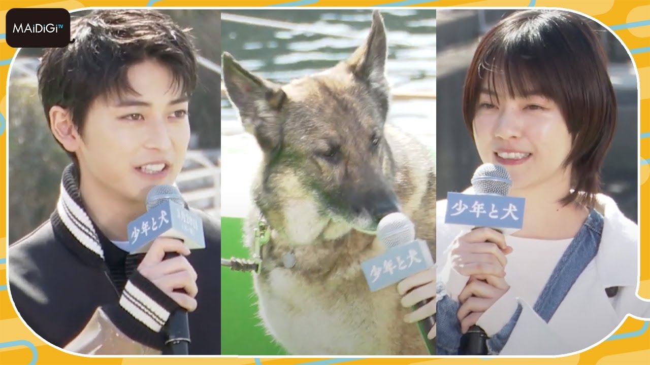 西野七瀬、犬の“さくら”から嫉妬？「同姓だったから？」と“初対面”振り返る　映画「少年と犬」公開直前イベント