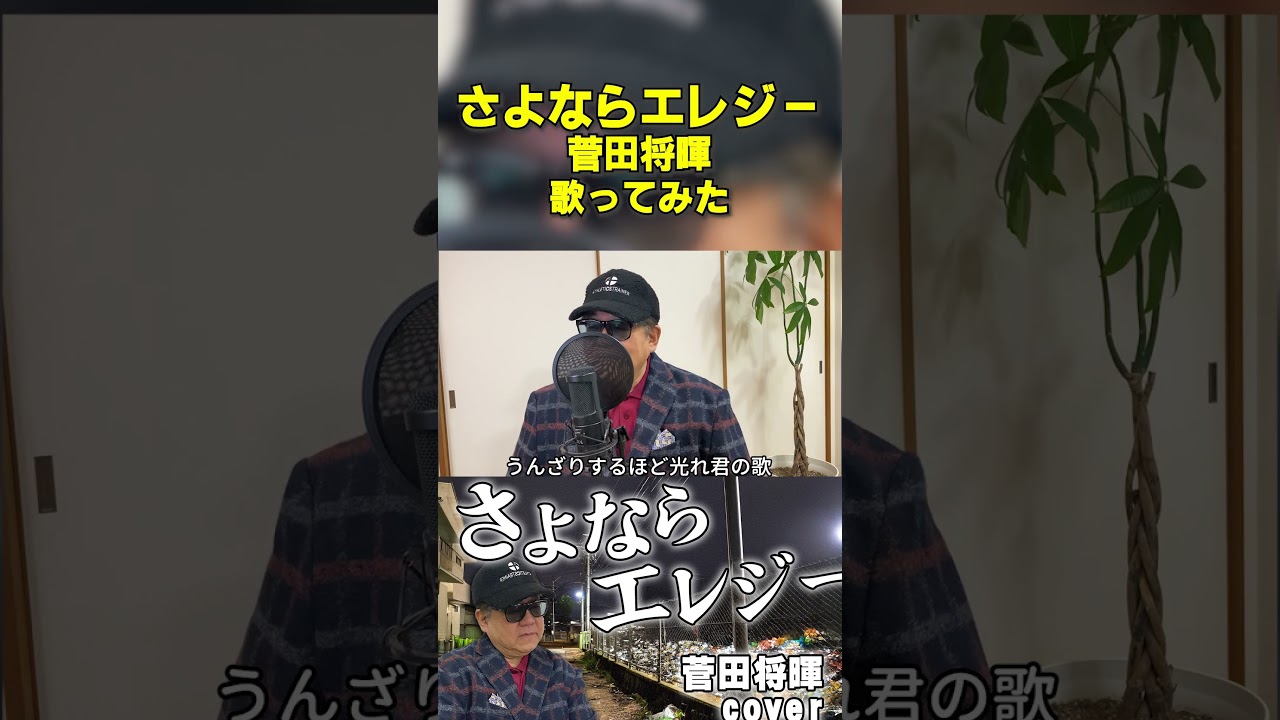 【歌ってみた】さよならエレジー/菅田将暉