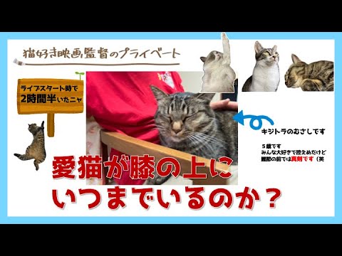 愛猫むさしが膝にいつまでいるか？ライブ（笑〜午後5時55分スタート時で2時間半経過