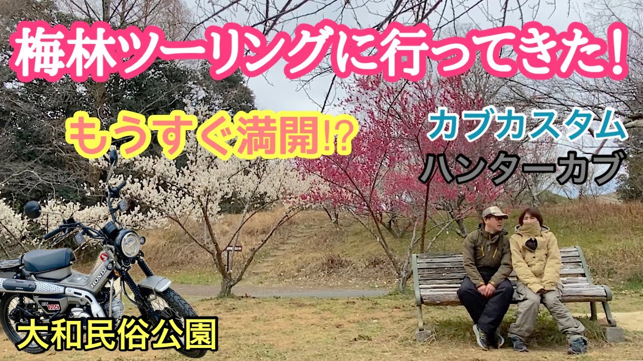 【CT125】映画のロケ地へ梅林ツーリング もうすぐ満開⁉ / 奈良民族公園