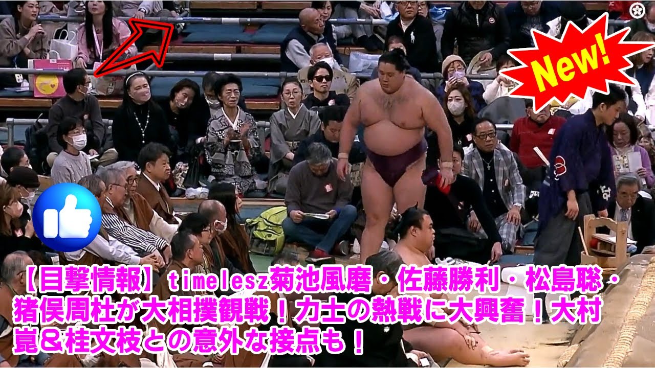 【timelesz】【目撃情報】timelesz菊池風磨・佐藤勝利・松島聡・猪俣周杜が大相撲観戦！力士の熱戦に大興奮！大村崑＆桂文枝との意外な接点も！