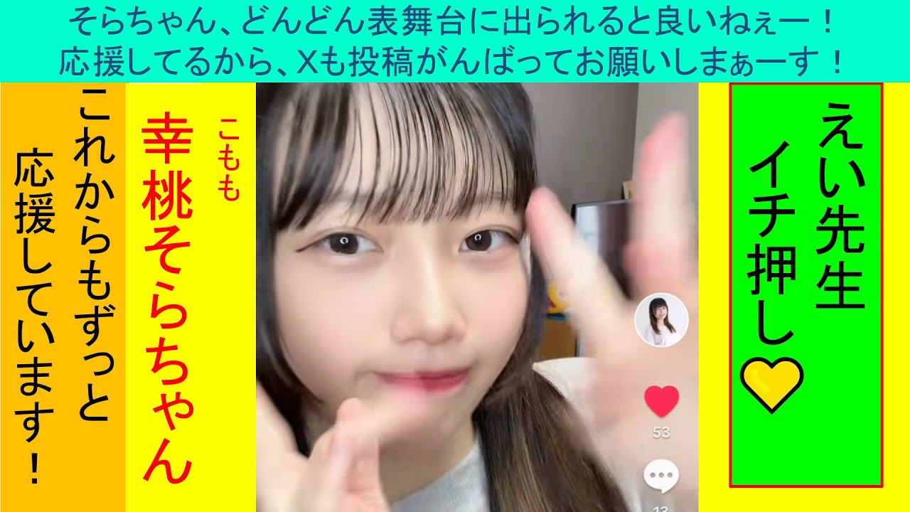 【CCA Hydor】第115弾ドルオタ向けおすすめイヤホン