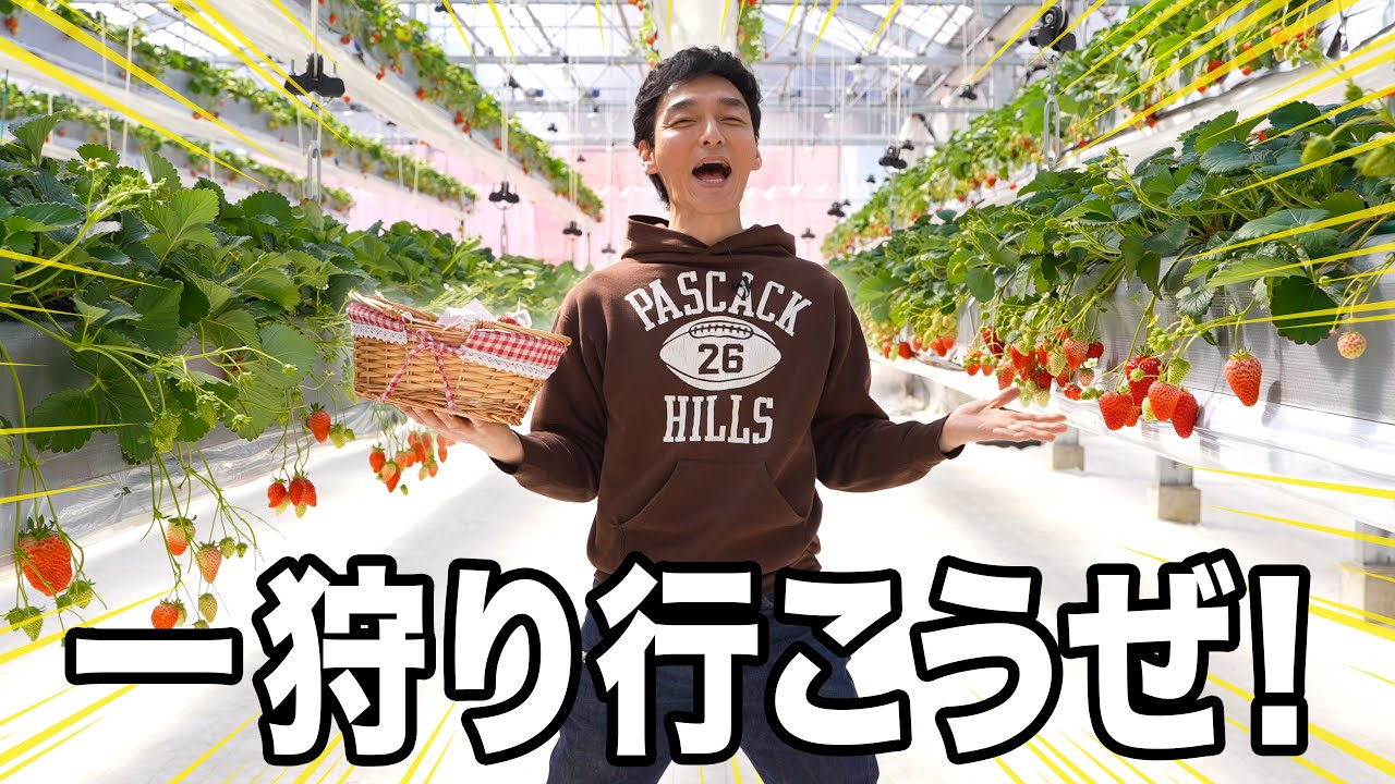 【草彅剛】爆食いつよぽん！！念願のいちご狩りへGO！【ぶらり旅】