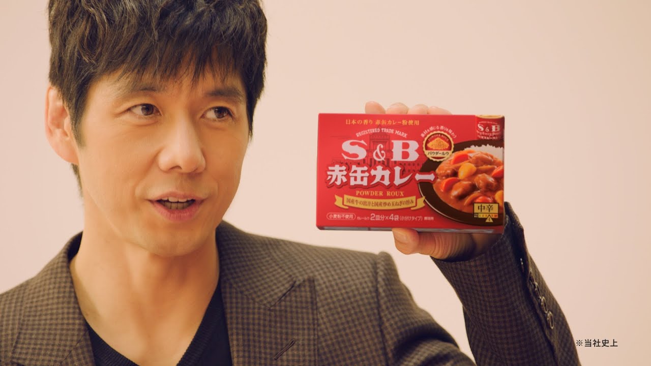 S&B赤缶カレーパウダールウ_赤缶鼎談西島秀俊編15秒 2