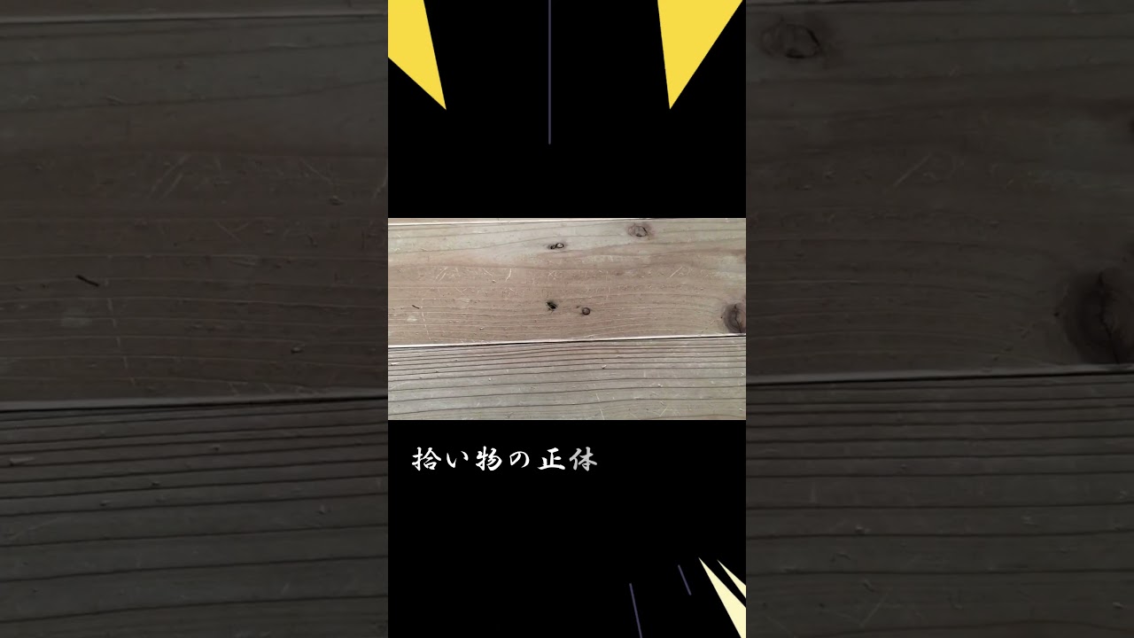 ～大、何食べてるの？の巻～＃Shorts④ #お笑い #ルー大柴 #comedy