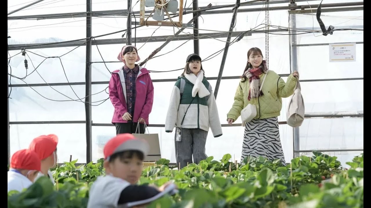 朝ドラ「おむすび」最終回！3月28日OA【あらすじ】詩（大島美優）をみんなで育てればいいという言葉に歩（仲里依紗）決心、その1年後…