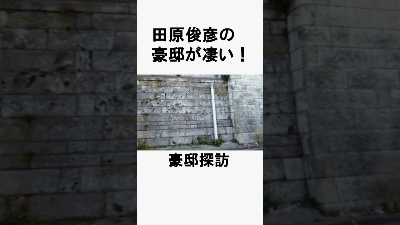 田原俊彦の豪邸が凄い #不動産 #不動産投資 #豪邸見学ツアー #物件紹介