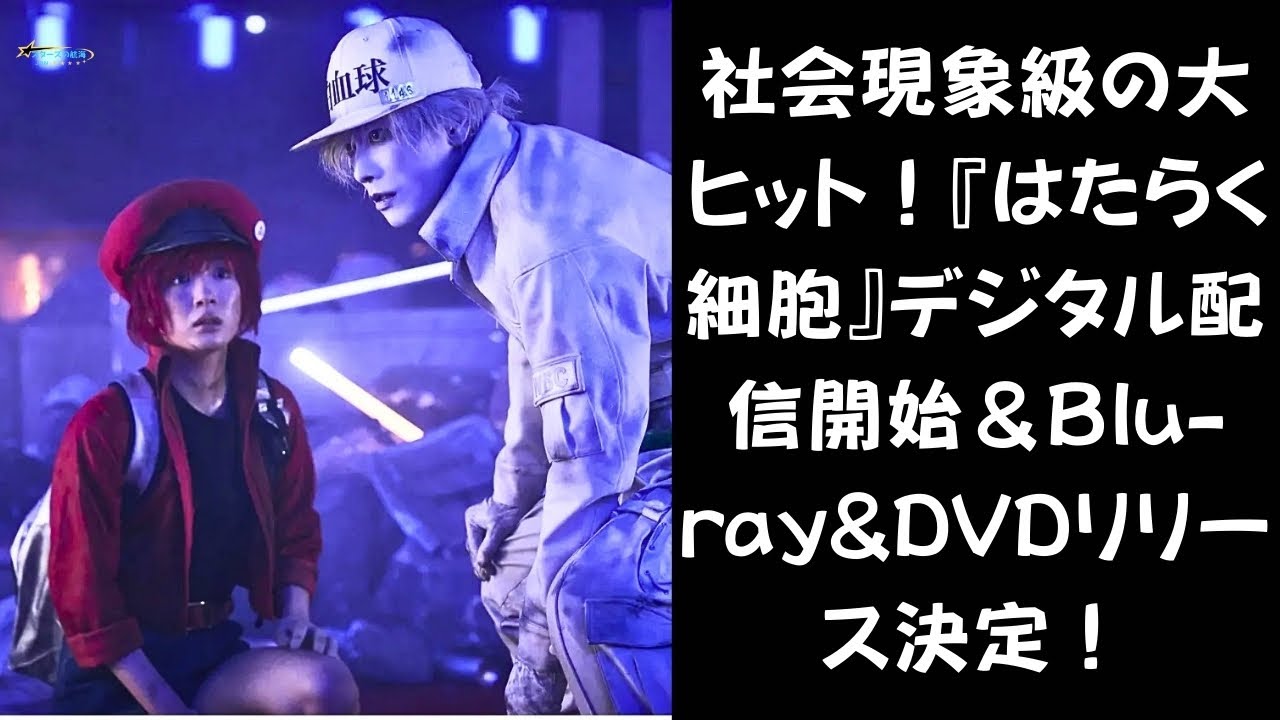【63億円の大ヒット映画】累計興収63億円突破！『はたらく細胞』がついに自宅で楽しめる！デジタル配信＆Blu ray&DVD発売へ #佐藤健 #永野芽郁 #武内英樹