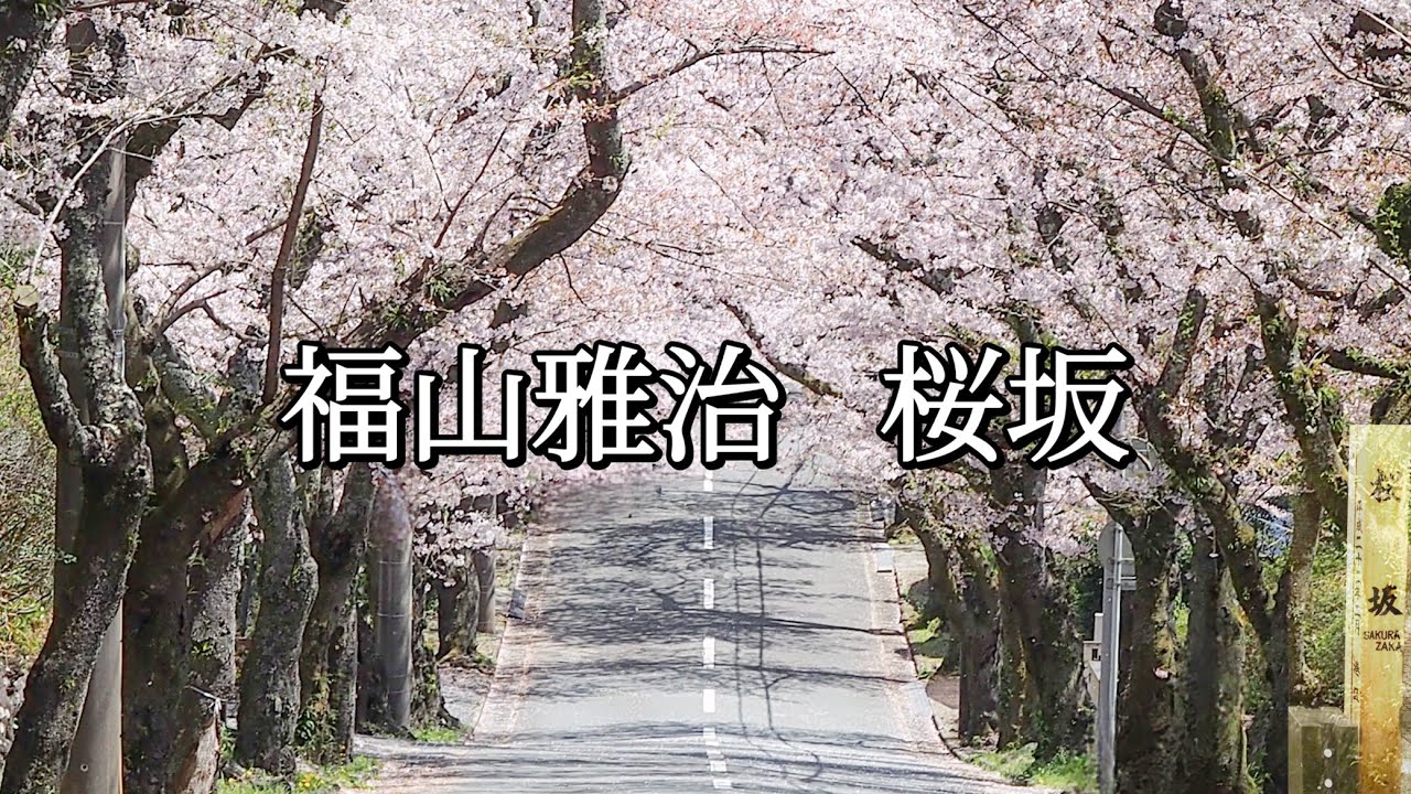 福山雅治   桜坂 (歌詞入り)