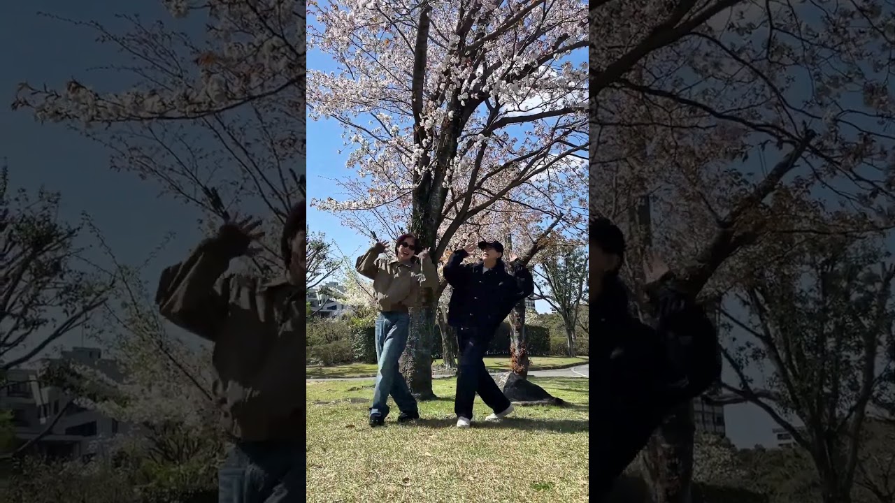 #宮近海斗 #松田元太 'Would You Like One?' お花見🌸 #しっぽダンス🦁 #Chaka #Genta #WYLO #TravisJapan