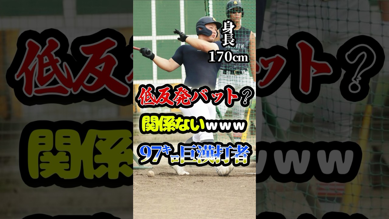 低反発バット史上最大の一発を放り込んだ「青森のドカベン」に関する雑学　#野球 #高校野球 #甲子園