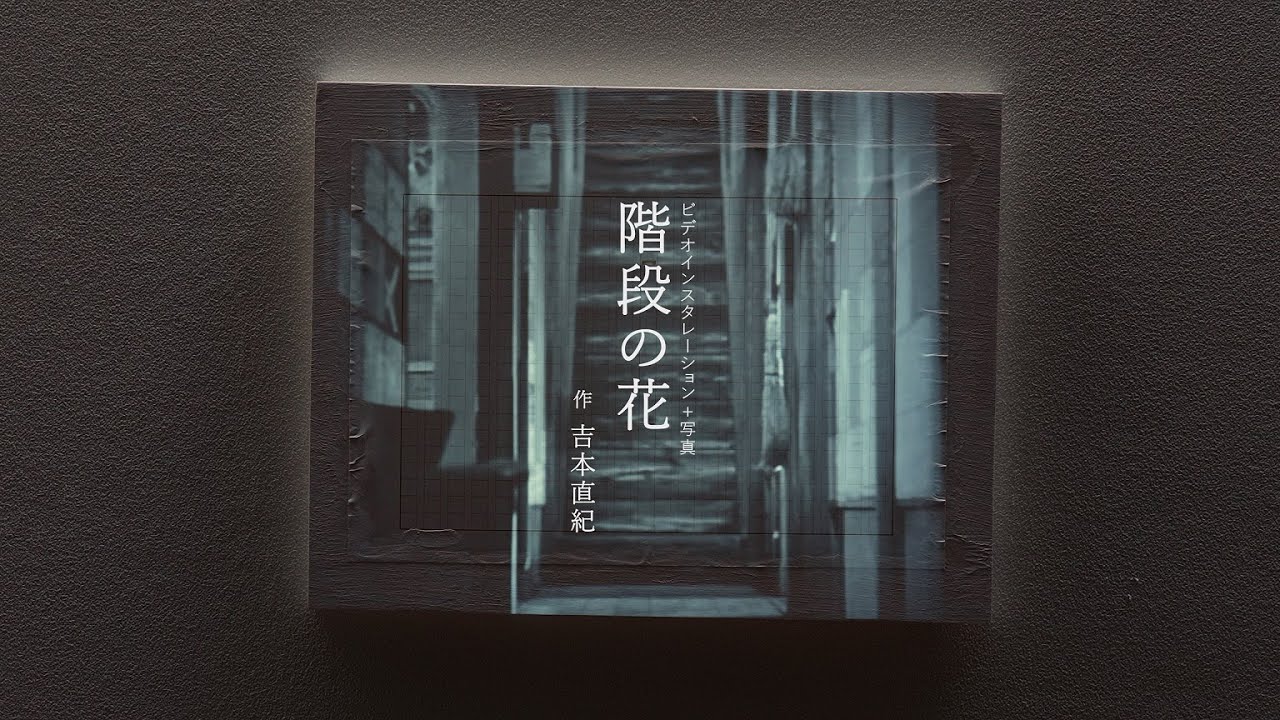 ビデオインスタレーション+写真「階段の花」