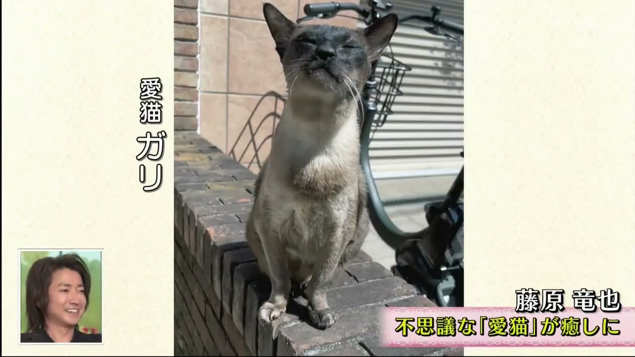 徹子の部屋  2025年4月11日  〜仕事と子育てで苦悩!?1児の父に…