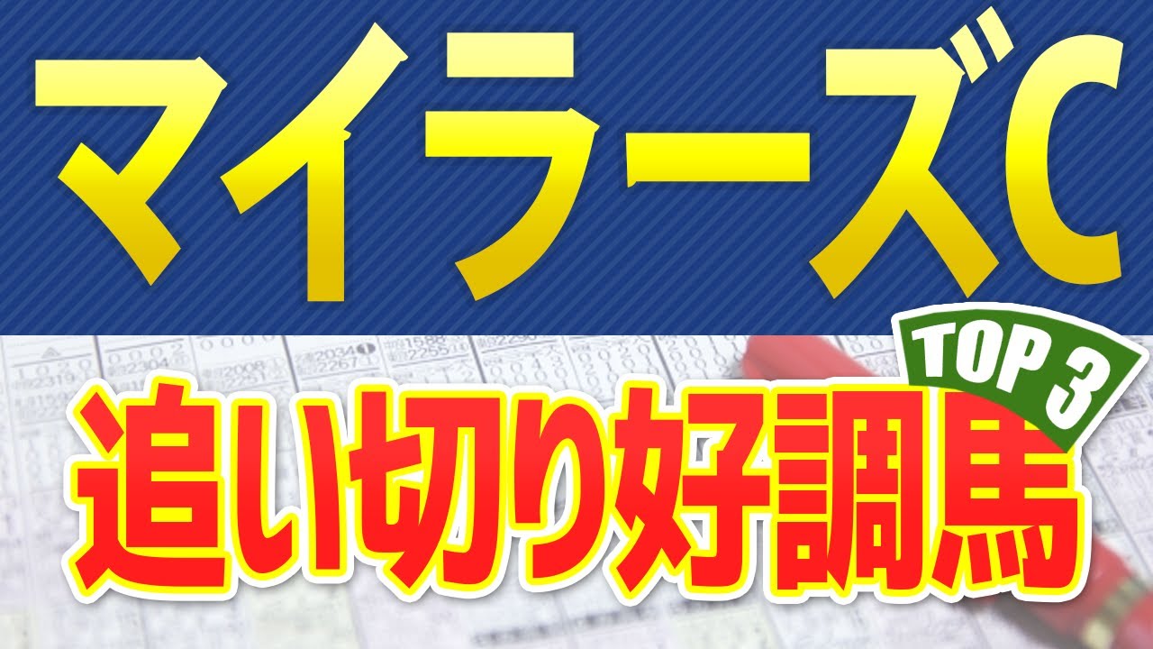 【読売マイラーズカップ2023】追い切りが抜群だった「トップ3」はこの馬だ🐴 ～JRAマイラーズCの競馬予想～ 今年は京都開催