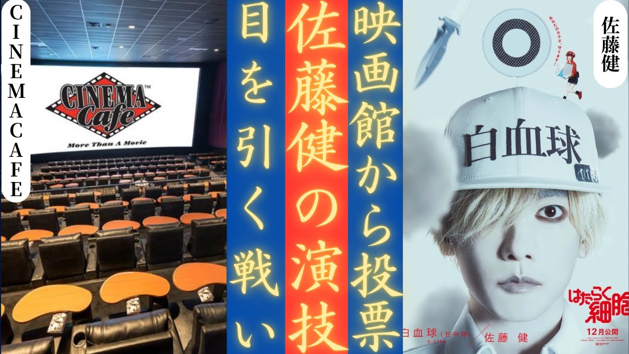 佐藤健 が魅せた白血球U-1146の戦い！「Cells at Work!」Cinema Cafeランキング1位 | 新しい日記
