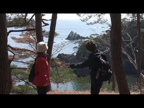三陸絶景ロード「みちのく潮風トレイル」初心者も楽しめる大船渡市のコースで出会う“豊かな森”と“青い海”と“海の幸”　岩手県 (25/04/26 11:50)
