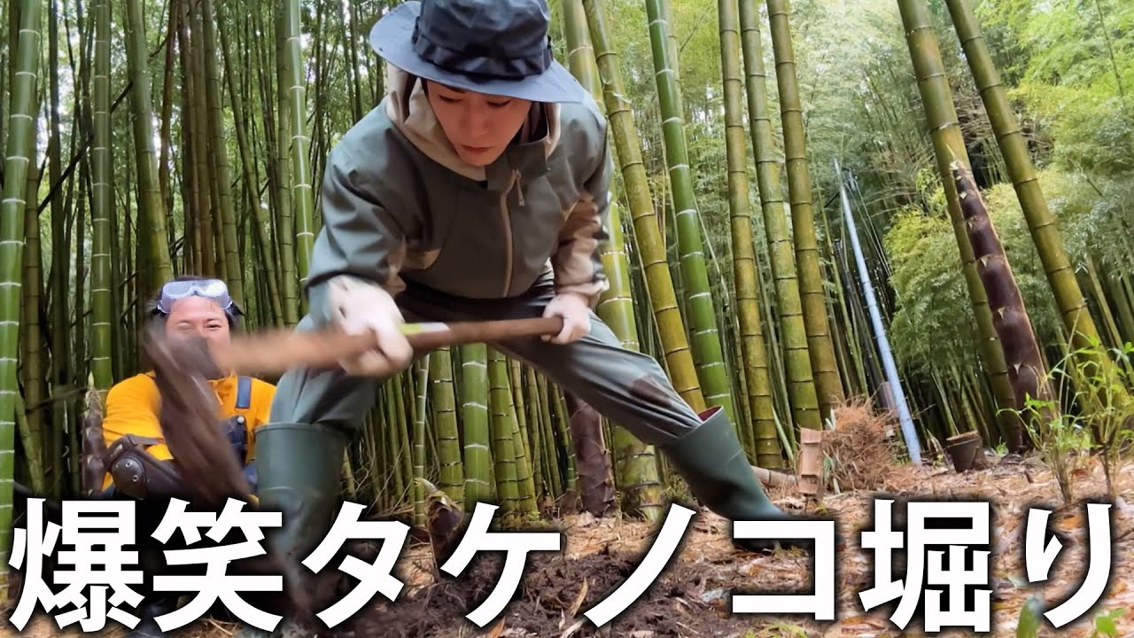 【本気】亀梨、泥だらけになりながら春の味覚タケノコを掘りまくります。