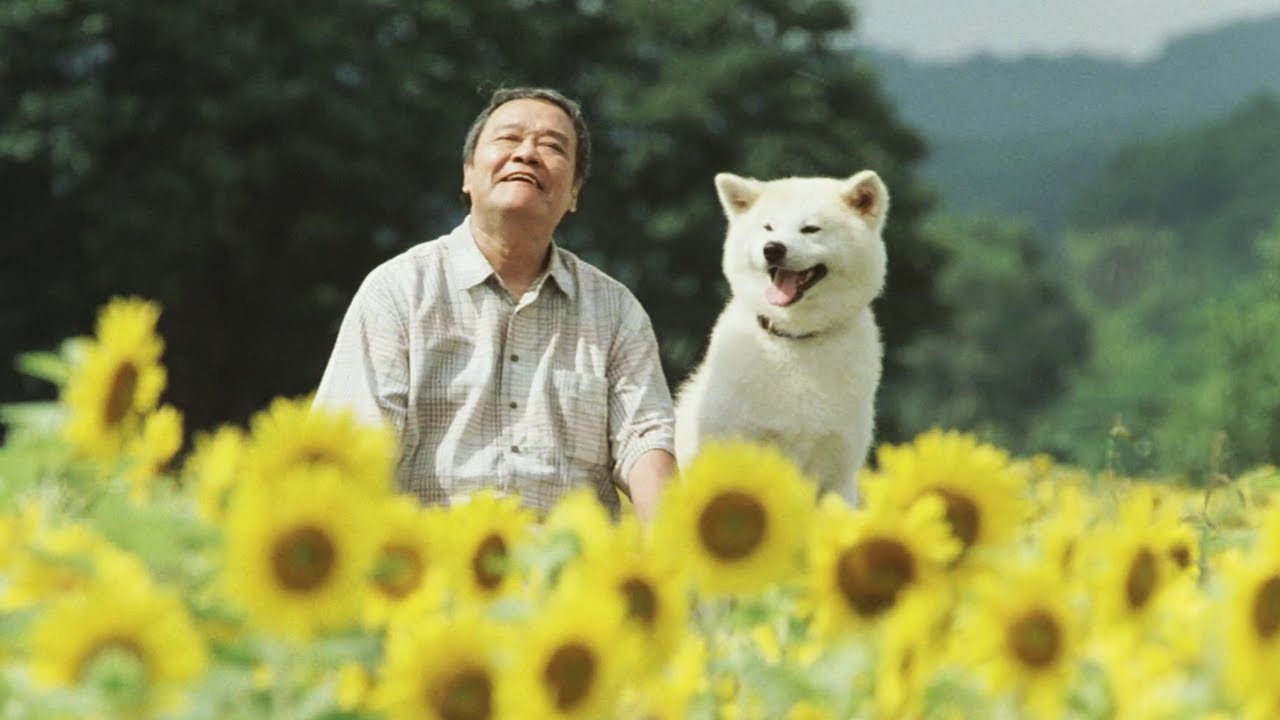 Star Watching Dog (2011) ORIGINAL TRAILER [HD]