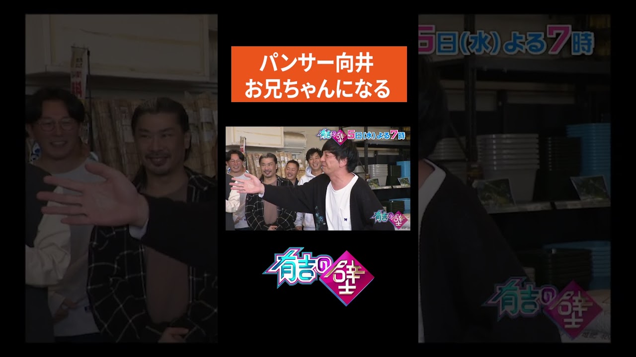 【赤ちゃん】パンサー向井、お兄ちゃんになる【有吉の壁】#shorts