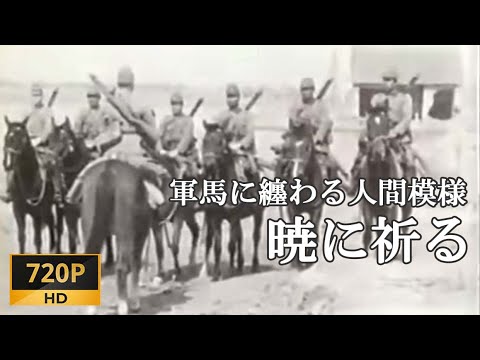 映画 フル「征戦愛馬譜 暁に祈る」 軍馬 の育成をする牧場と大陸での戦闘用軍馬を描いた戦争映画【Japanese Movies】
