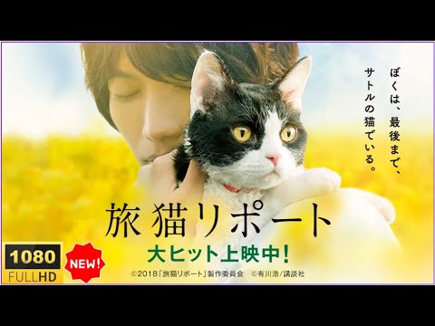 🐾👉🅷🅾🆃 【最高の日本映画】🐾👉🅷🅾🆃 『旅猫リポート』｜最後の旅に託した“ありがとう” 涙と優しさに包まれる感動作🚗🐱【フルHD】✅✅✅