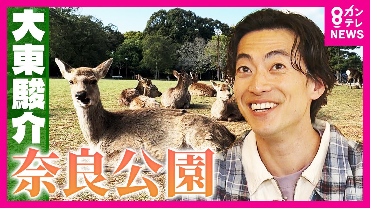 「3つ見つけると金持ちになる」2000基の中に15基だけ貴重な石灯籠　700年変わらぬ「春日大社」に一つだけ感動の変化を発見｜大東駿介の発見！てくてく学〈カンテレNEWS〉