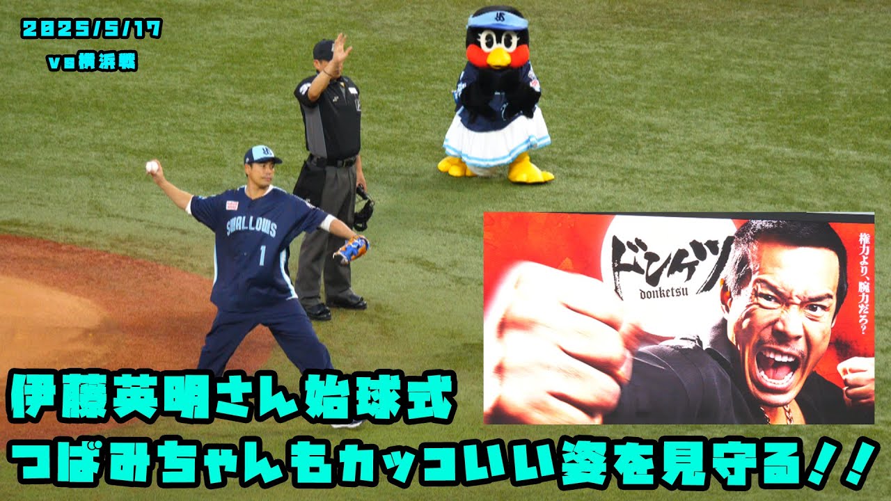 伊藤英明さん始球式　つばみちゃんもカッコいい姿を見守る！！　2025/5/17 vs横浜