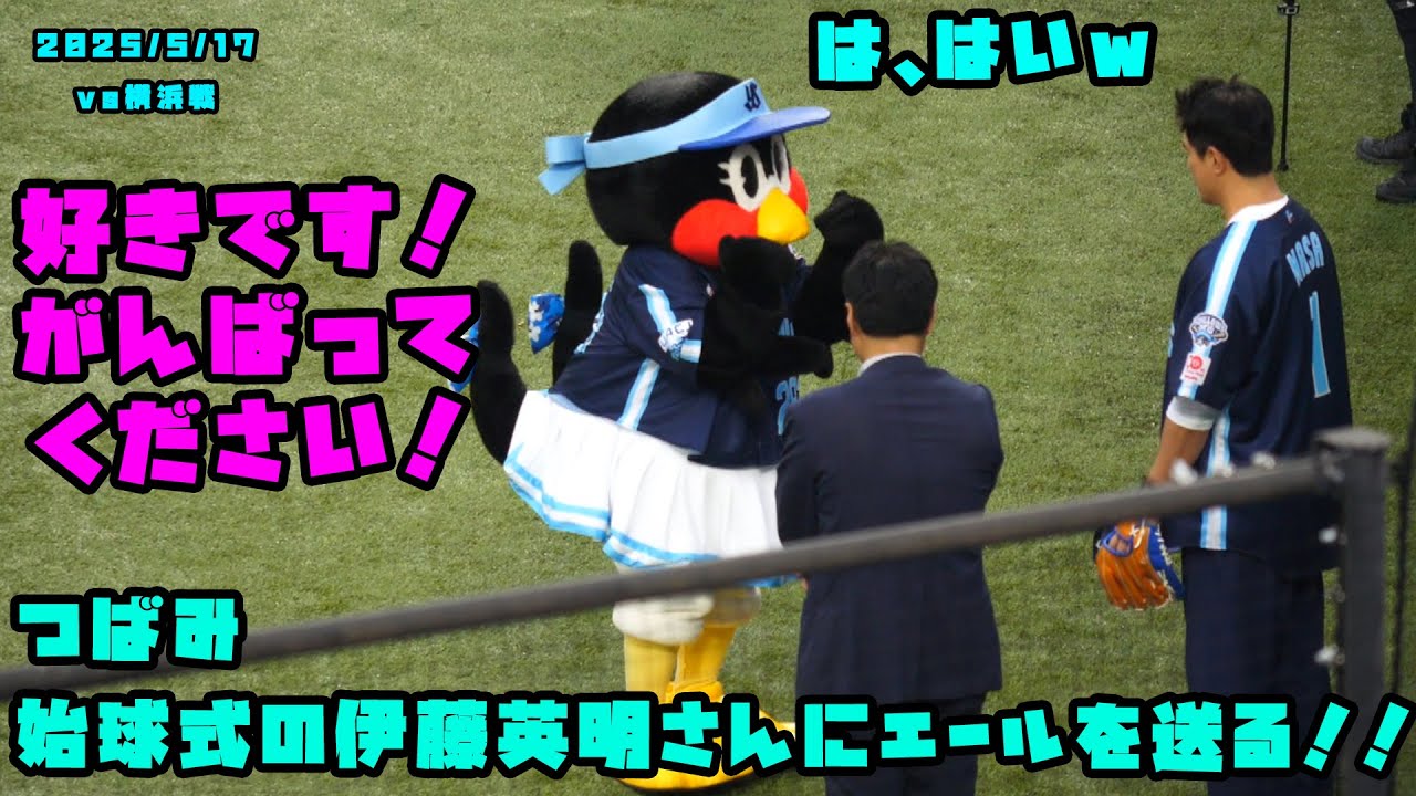 つばみ　始球式の伊藤英明さんにエールを送る！！　2025/5/17 vs横浜
