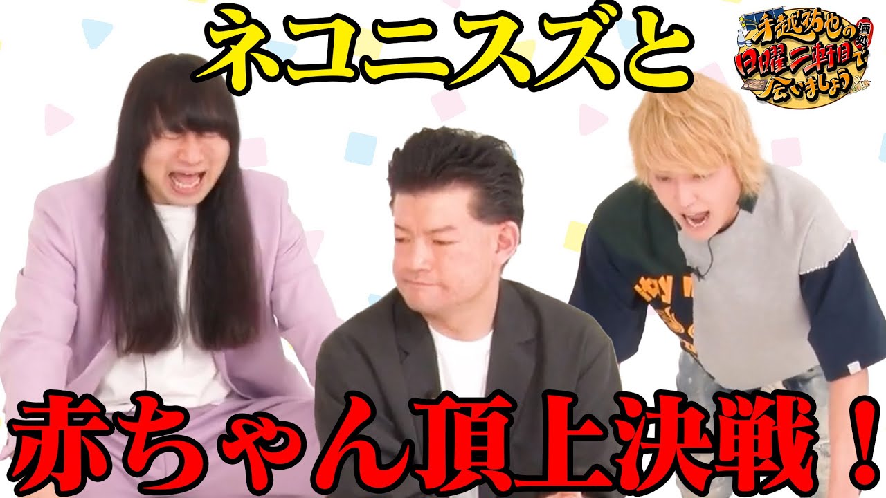 【ネコ二スズ】赤ちゃん頂上決戦！！