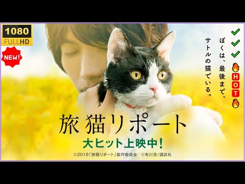 🔥🅷🅾🆃🔥 【感動の日本映画】🔥🅷🅾🆃🔥 『旅猫リポート』｜さよならの旅が教えてくれた、本当の優しさとは？【フルHD】✔️✔️✔️