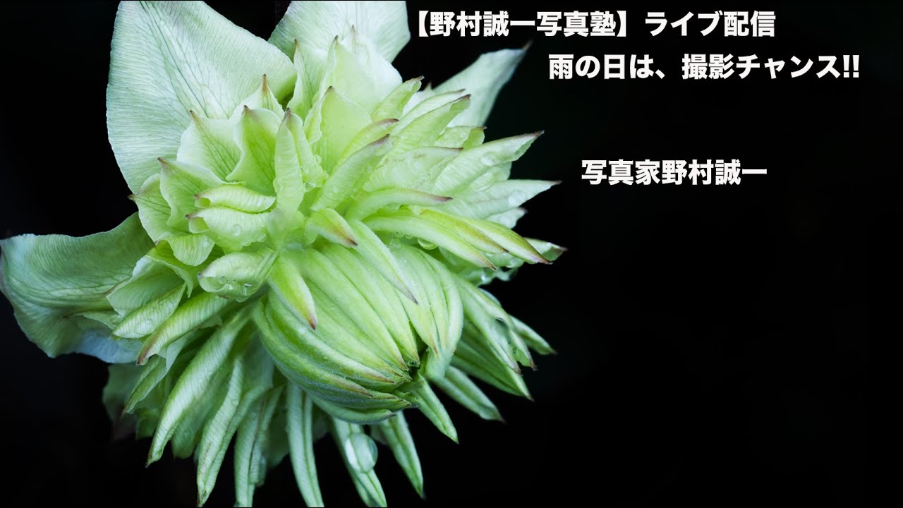 「野村誠一写真塾」ライブ配信、雨の日は、チャンスだと、この考え方は、、、