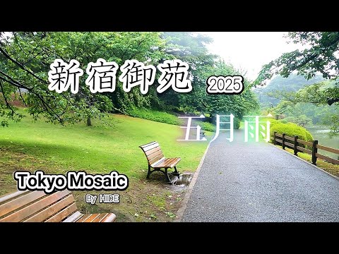 「新宿御苑2025　五月雨」雨の新宿御苑を歩いてきました。雨の匂いと新緑の木々、日中でも人影はまばらで、ちょっとした、気分転換にお勧めです。