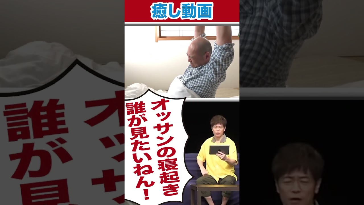 ポロリしちゃった、、、#陣内智則 #ネタジン #癒し系動画 #お笑い #shorts