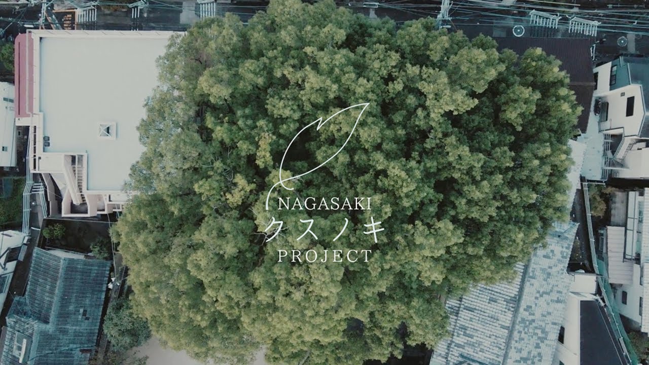 福山雅治 - クスノキ-500年の風に吹かれて-（KUSUNOKI PROJECT ver.）