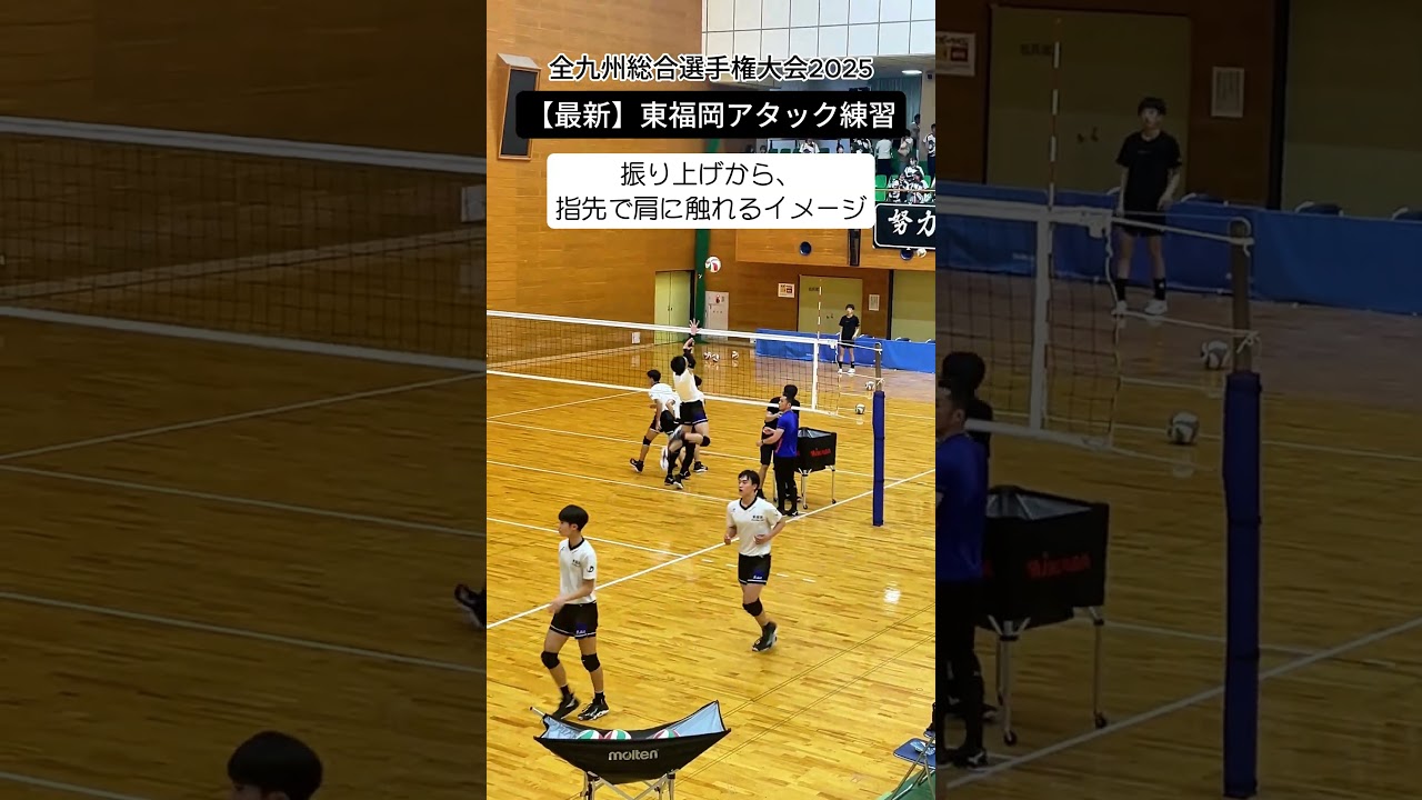 【最新】東福岡アタック練習　#shorts #糸瀬翔馬 #東福岡バレーボール