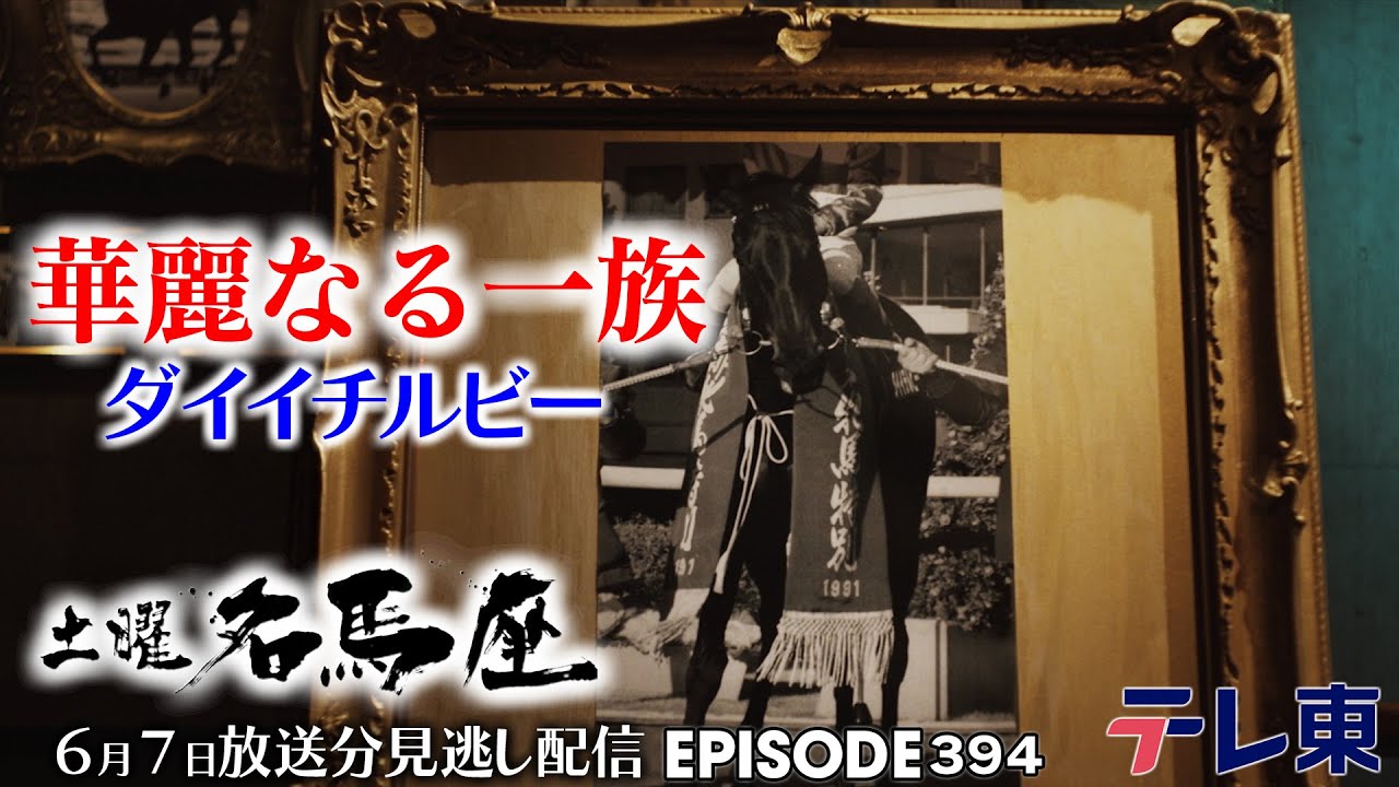 【公式】土曜名馬座｜良血馬ハギノトップレディと”天馬”トウショウボーイから生まれ安田記念を制した名馬【ダイイチルビー】